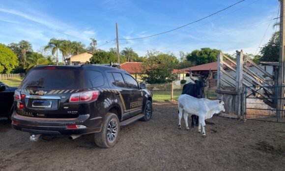 Operação “Imperium Fictum” no Pará combate fraudes fundiárias, grilagem e lavagem de dinheiro