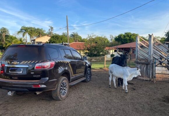 Operação “Imperium Fictum” no Pará combate fraudes fundiárias, grilagem e lavagem de dinheiro