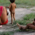 Número de óbitos no território Yanomami teve redução de 21% em 2024