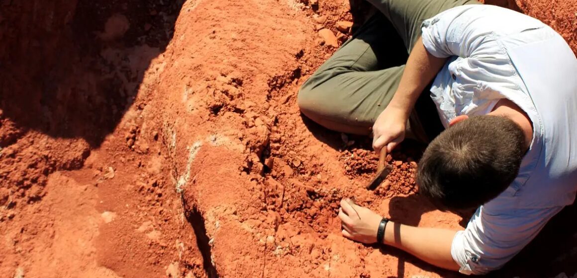 WhatsApp Image 2025-06-01 at 18.16.21 Fóssil brasileiro revela novos indícios sobre origem dos dinossauros