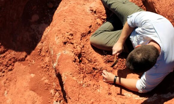 Fóssil brasileiro revela novos indícios sobre origem dos dinossauros
