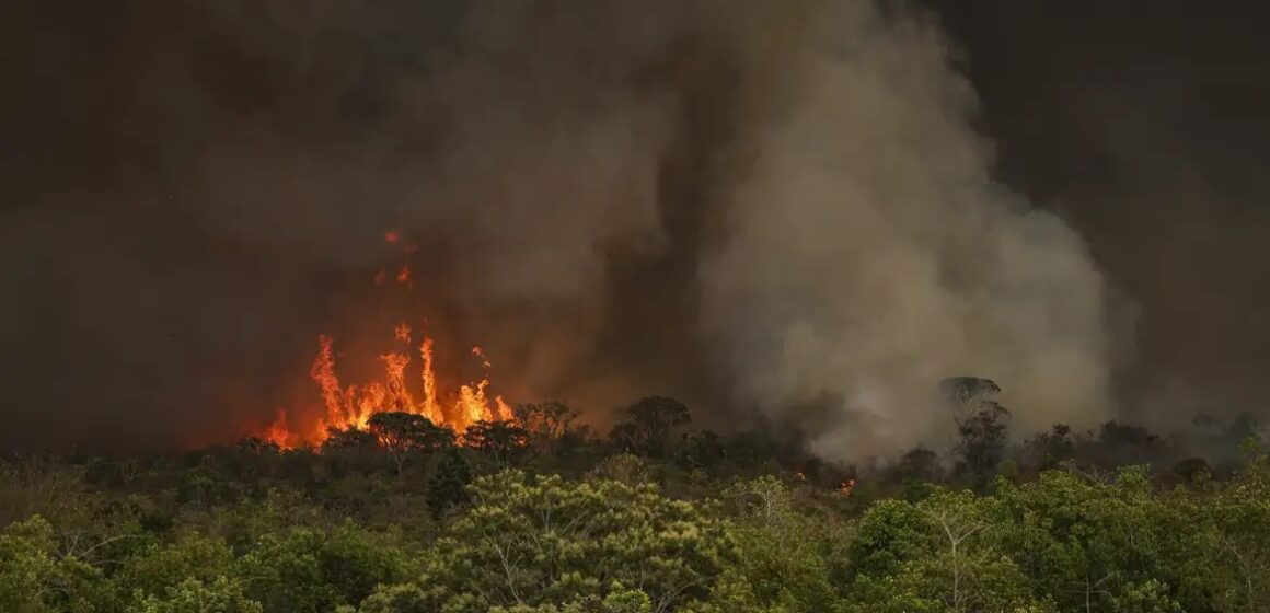 Câmara aprova endurecimento de penas para crimes de incêndio florestal