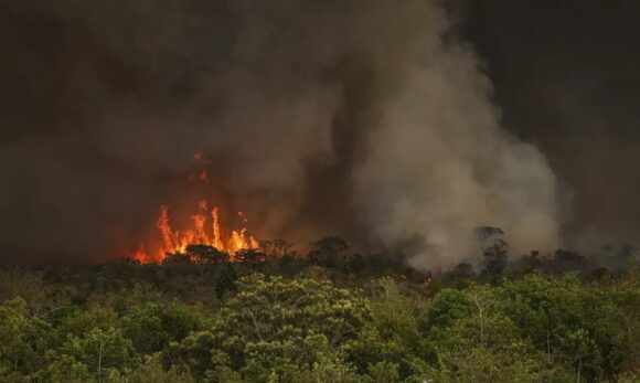 Câmara aprova endurecimento de penas para crimes de incêndio florestal