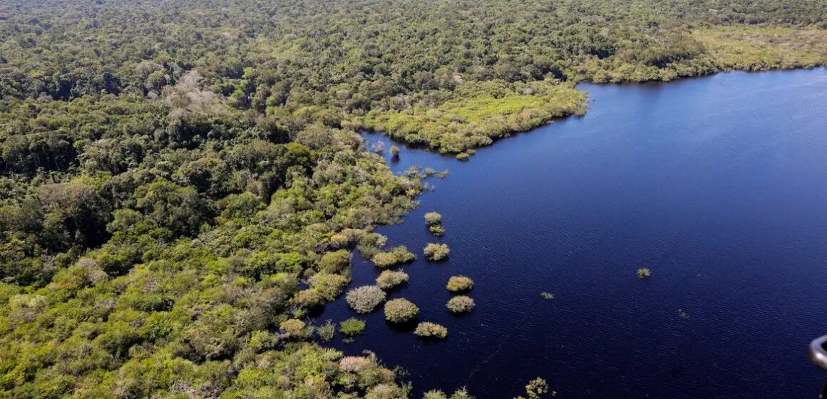 Florestas públicas não destinadas concentram 80% do desmatamento na Amazônia em 2025