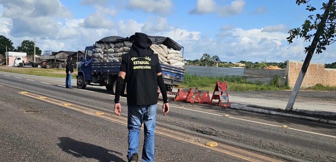 Pará reforça barreiras sanitárias contra gripe aviária com novas regras para transporte de aves e ovos