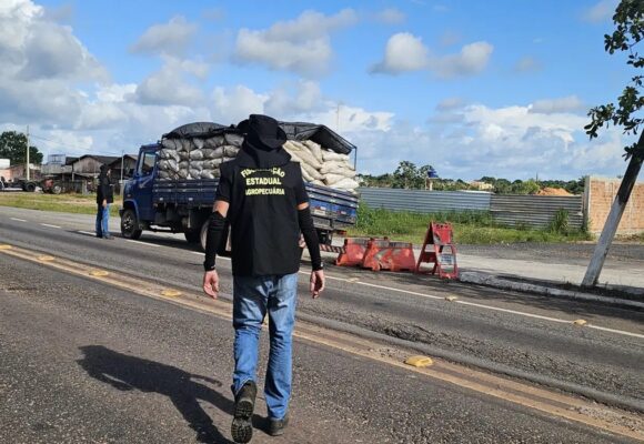 Pará reforça barreiras sanitárias contra gripe aviária com novas regras para transporte de aves e ovos
