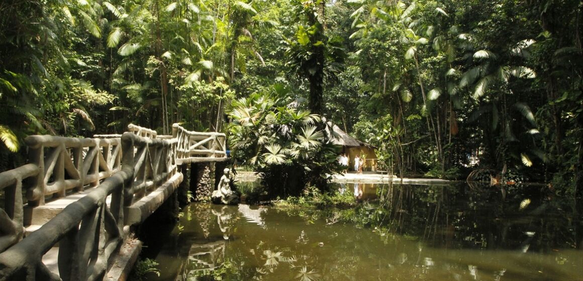 Belém sedia 1ª Semana do Clima da Amazônia com foco em soluções sustentáveis para a região