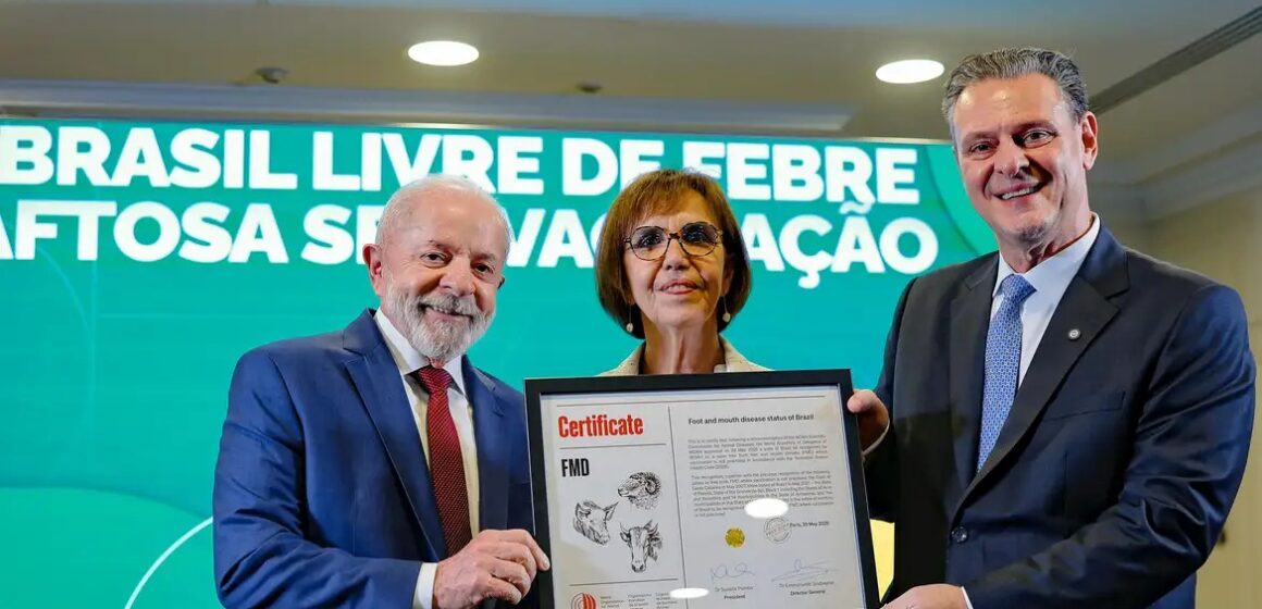 Brasil recebe certificado internacional como país livre da febre aftosa sem vacinação