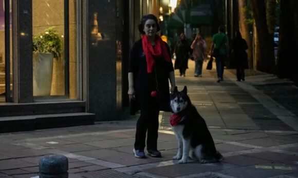 Irã amplia restrições a passeios com cães em espaços públicos