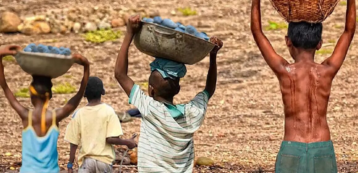 Mais de 6 mil crianças resgatadas do trabalho infantil em dois anos