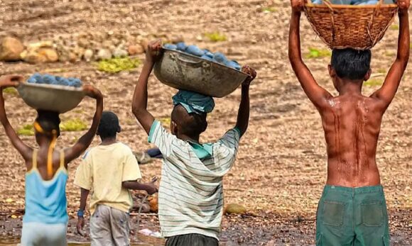 Mais de 6 mil crianças resgatadas do trabalho infantil em dois anos