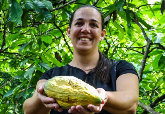 Pará se consolida como líder mundial em produtividade de cacau sustentável
