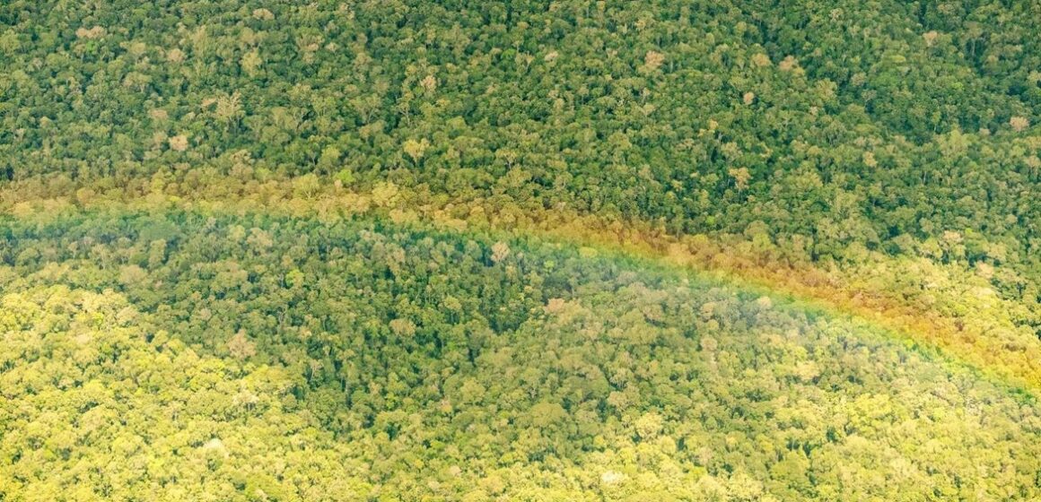 Justiça Federal mantém contrato de créditos de carbono no Pará e rejeita pedido de suspensão