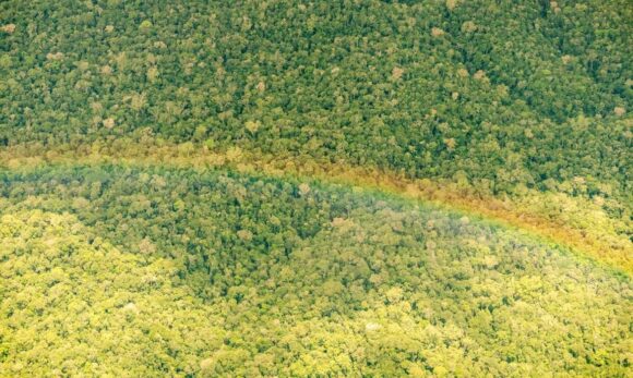 Justiça Federal mantém contrato de créditos de carbono no Pará e rejeita pedido de suspensão
