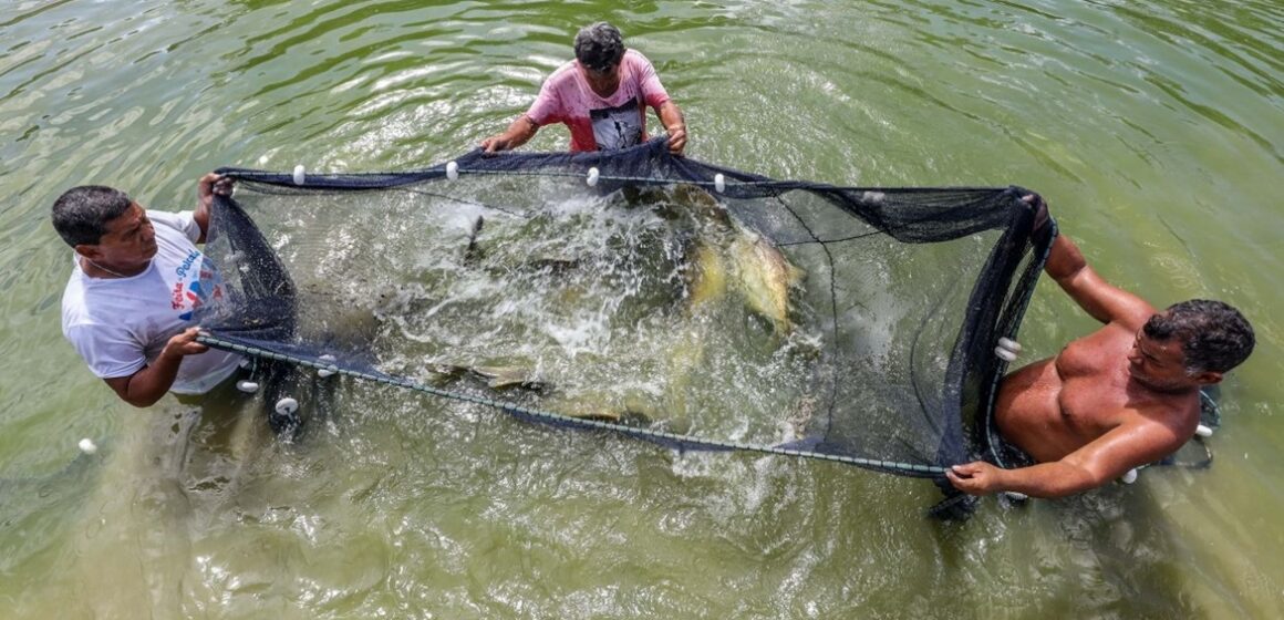 Fapespa anuncia selecionados do Programa Jovem Cientista da Pesca Artesanal no Pará