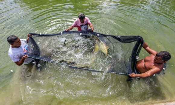 Fapespa anuncia selecionados do Programa Jovem Cientista da Pesca Artesanal no Pará