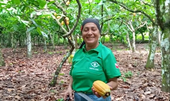 Emater capacita produtores de cacau para agregar valor à produção no Xingu