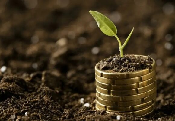 Financiamento verde para pequenos negócios: a ponte para a economia sustentável da COP30