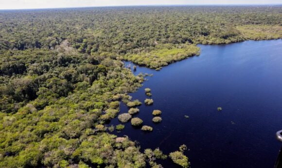Fundo Amazônia bate recorde com R$ 1,189 bilhão em projetos aprovados em 2025