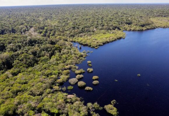 Fundo Amazônia bate recorde com R$ 1,189 bilhão em projetos aprovados em 2025