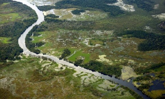 Pará estabelece novas regras para reposição florestal e créditos ambientais