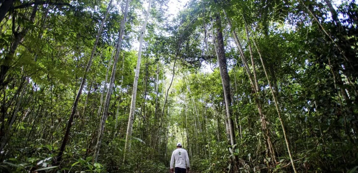 UNICEF e Takeda firmam parceria para melhorar saúde indígena no Pará
