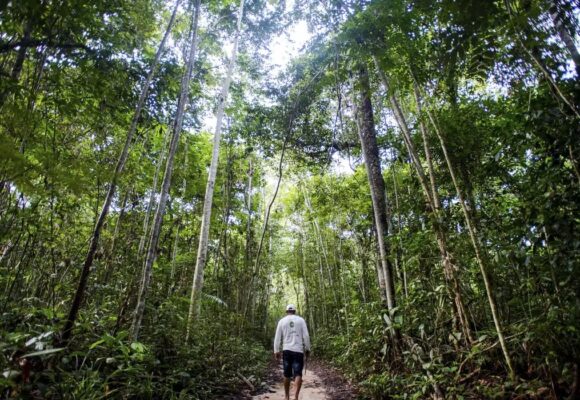 UNICEF e Takeda firmam parceria para melhorar saúde indígena no Pará