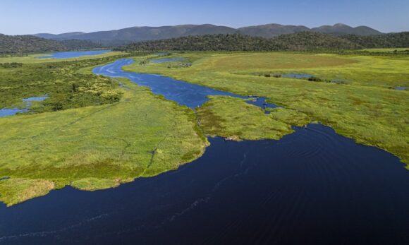 Projeto que reduziu pegada de carbono no Pantanal se expande para seis estados brasileiros