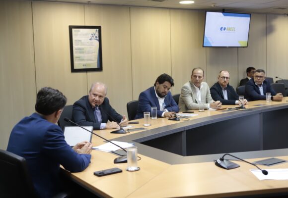 Presidente do TCE-PA se reúne com a Aneel para solicitar melhora na prestação de serviço de energia elétrica no Pará