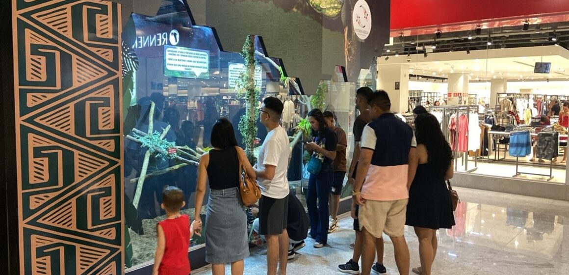Exposição inédita no Shopping Metrópole revela diversidade de répteis amazônicos