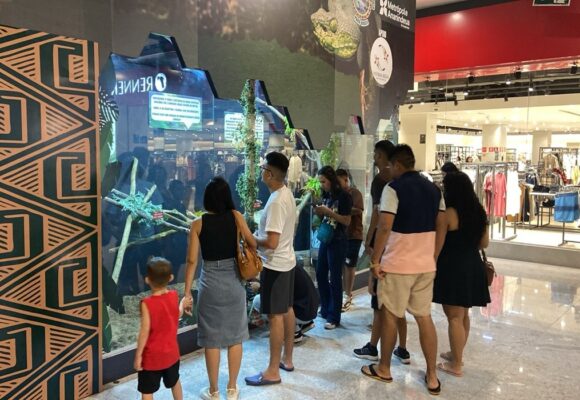 Exposição inédita no Shopping Metrópole revela diversidade de répteis amazônicos