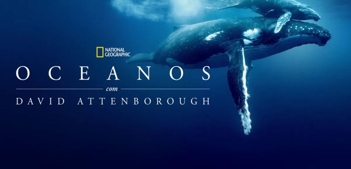 Documentário no Disney+ revela crise oceânica global e caminhos para recuperação