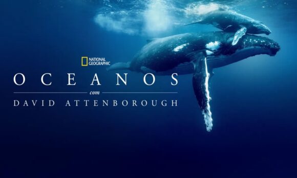 Documentário no Disney+ revela crise oceânica global e caminhos para recuperação