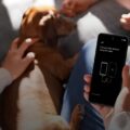 Android apresenta nova funcionalidade de proteção contra roubo que ainda não está disponível no iPhone