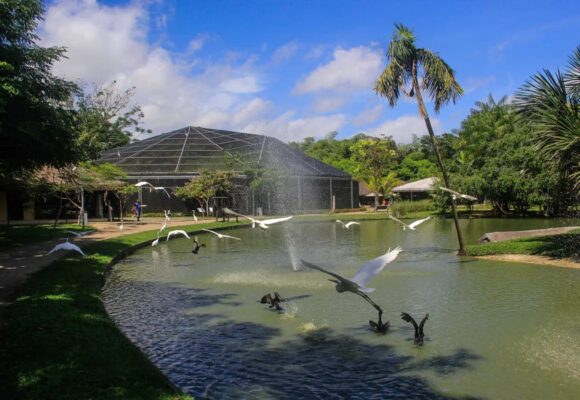 Belém é eleita o principal destino turístico emergente do Brasil em 2025