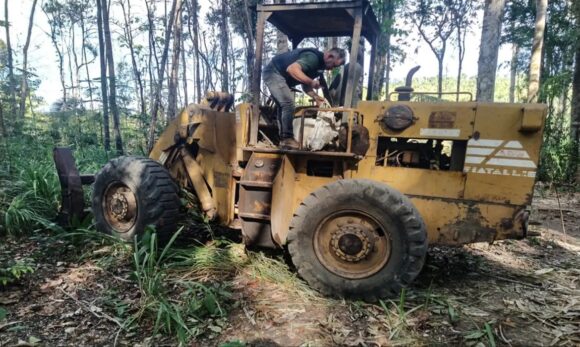 Proprietário de área desmatada é preso por crimes ambientais e corrupção em Novo Progresso