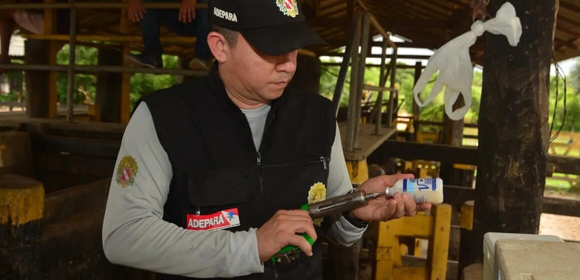Pará prorroga campanha de vacinação contra raiva em herbívoros até 31 de julho