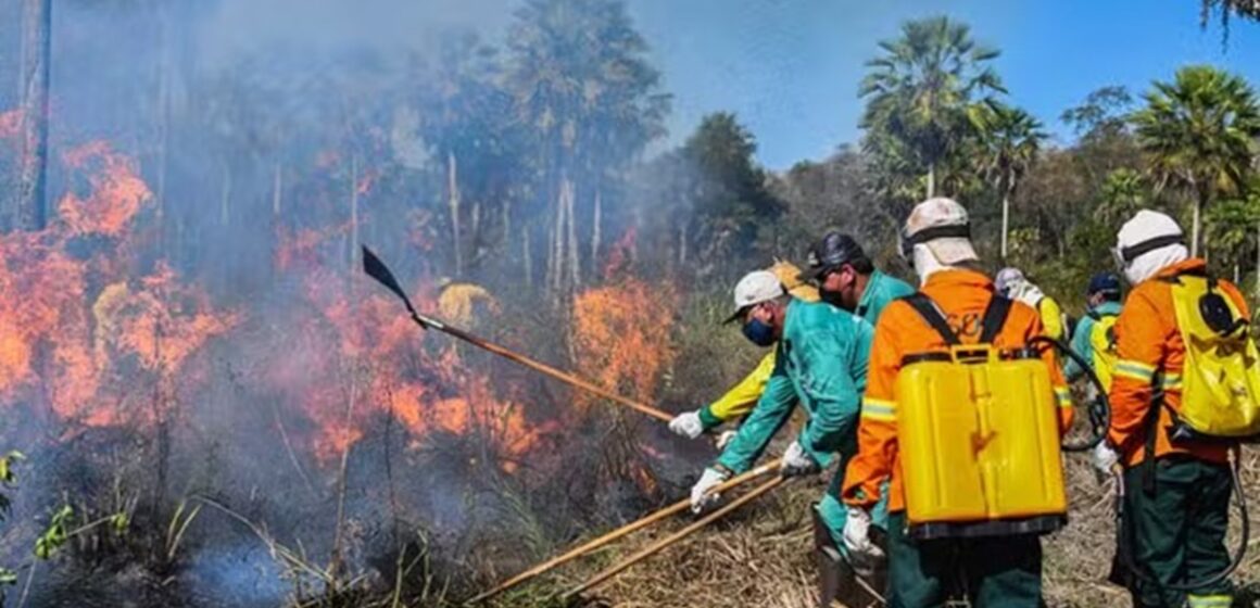 Governo propõe usar R$ 150 milhões do Fundo Amazônia para combater incêndios no Cerrado e Pantanal