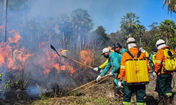 Governo propõe usar R$ 150 milhões do Fundo Amazônia para combater incêndios no Cerrado e Pantanal