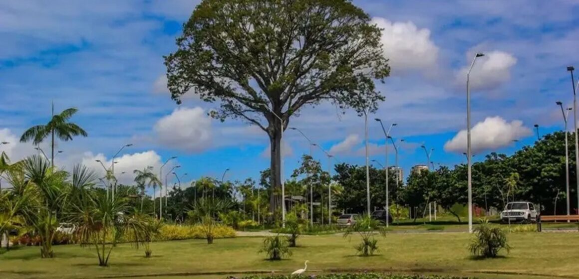 Pará sanciona primeira Lei de Responsabilidade Ambiental do Brasil e amplia fundo para R$ 1 bilhão