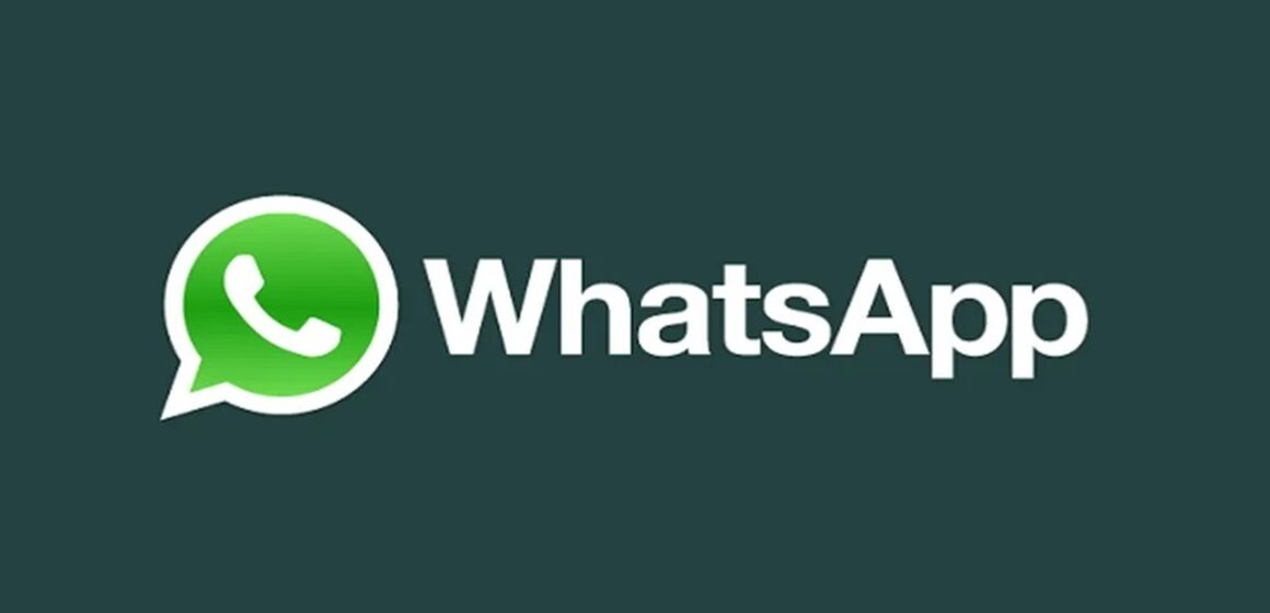 WhatsApp lança novos recursos para empresas com foco no mercado brasileiro