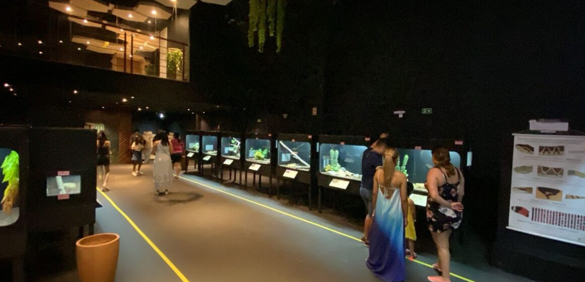 Exposição interativa de répteis amazônicos estreia no Shopping Metrópole Ananindeua