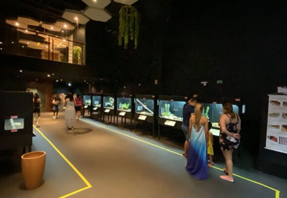 Exposição interativa de répteis amazônicos estreia no Shopping Metrópole Ananindeua