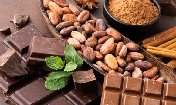 Chocolate Orgânico: Nutrição e sustentabilidade em alta no Dia Mundial do Chocolate