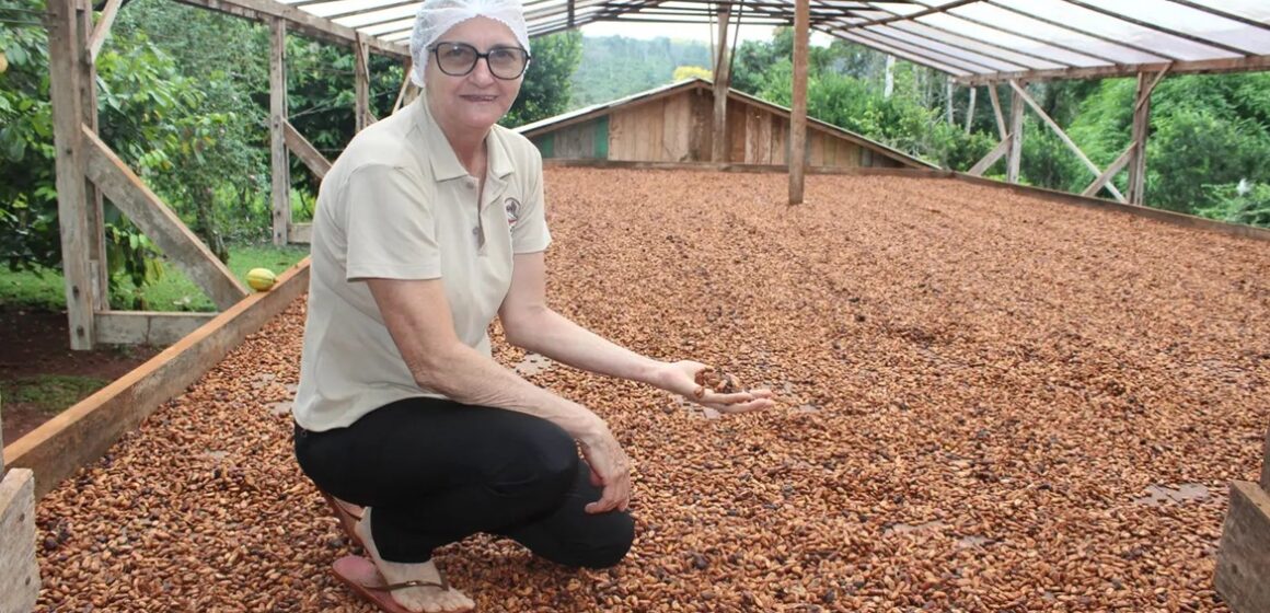 Pará impulsiona produção artesanal de chocolate com selo de qualidade