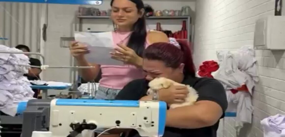 Chefe presenteia funcionária com filhote de cachorro para amenizar dor da perda de pet