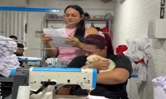 Chefe presenteia funcionária com filhote de cachorro para amenizar dor da perda de pet