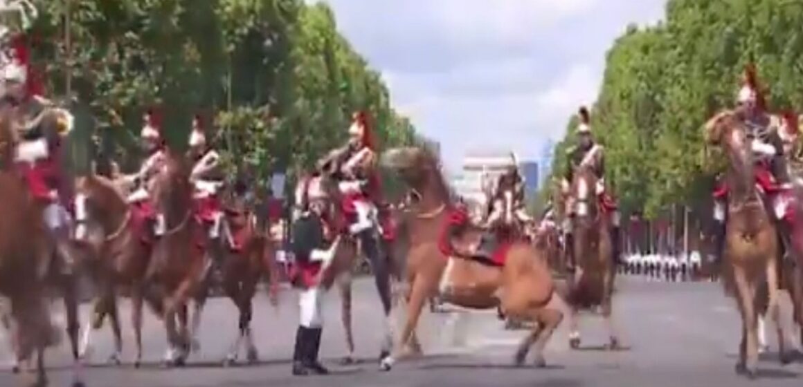Incidentes com cavalos e soldado ferido marcam desfile militar do Dia da Bastilha