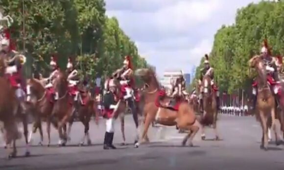 Incidentes com cavalos e soldado ferido marcam desfile militar do Dia da Bastilha