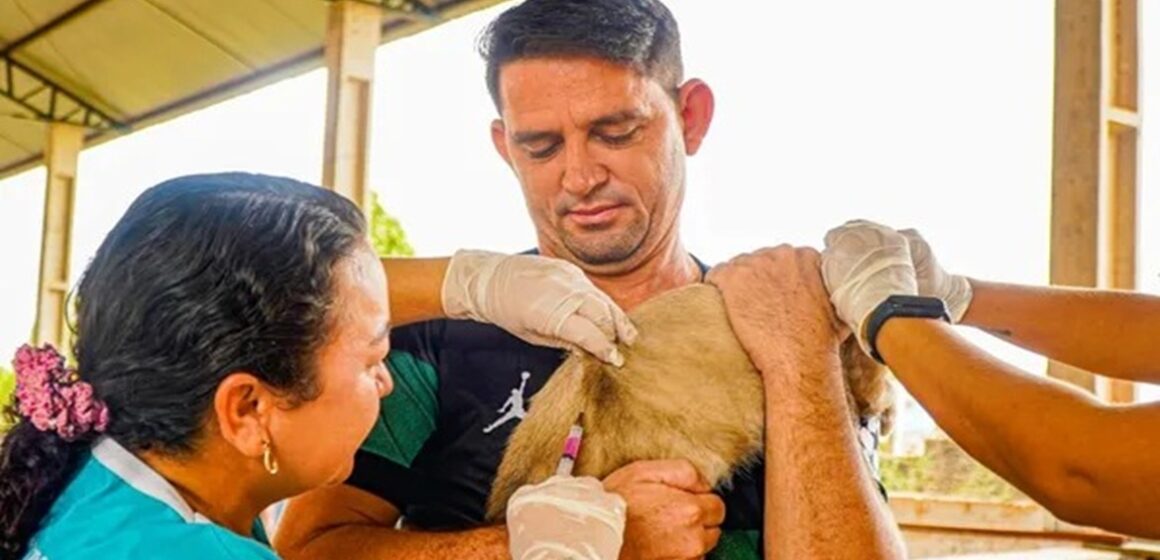 WhatsApp Image 2025-07-15 at 16.09.36 Santarém completa 20 anos sem casos de raiva humana graças a estratégia de vacinação animal